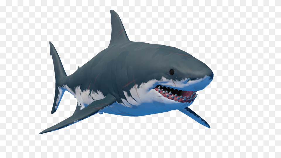 Raft Game Logo Image With No, Animal, Sea Life, Fish, Shark Free Png