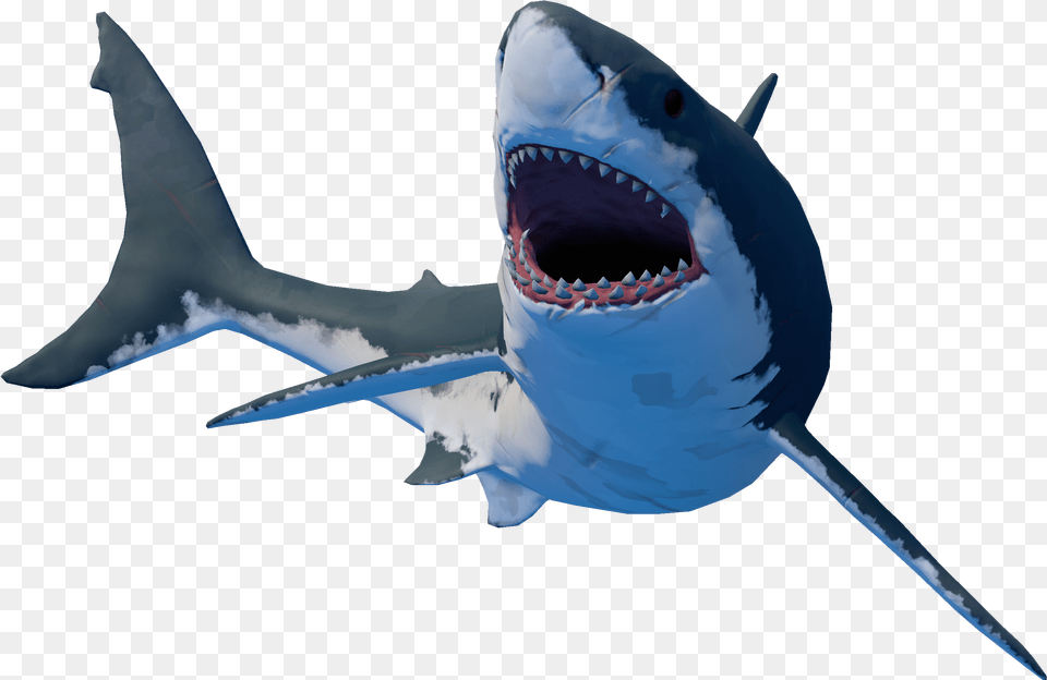 Raft Game Shark, Animal, Fish, Sea Life, Great White Shark Free Transparent Png