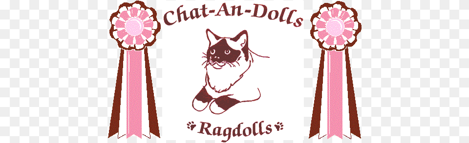 Ragdoll Kittens For Sale Cats Lovely, Envelope, Greeting Card, Mail, Animal Free Transparent Png