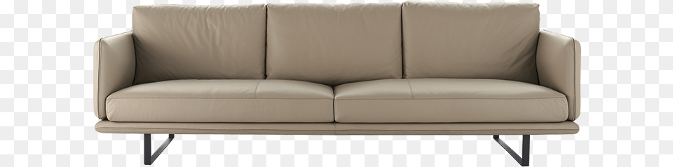 Rail Sofa Rail, Couch, Cushion, Furniture, Home Decor Free Transparent Png