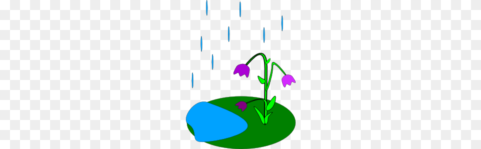 Rain Flowers Clip Art, Flower, Plant, Petal, Device Png