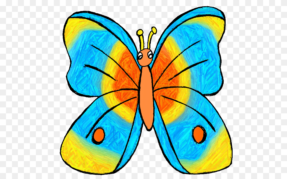 Rain Forest Clipart, Animal, Butterfly, Insect, Invertebrate Free Png Download