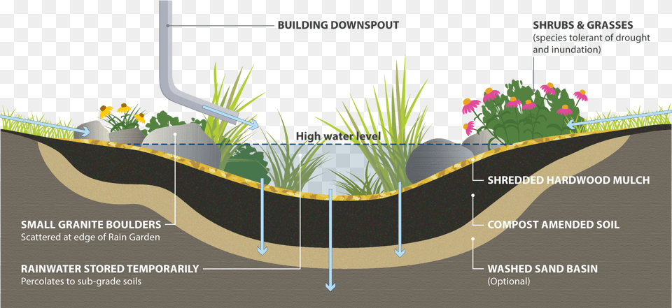 Rain Garden Cross Section, Grass, Vase, Pottery, Potted Plant Png Image