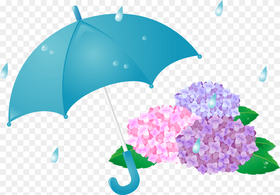Rain On The Hydrangeas And Umbrella Clipart, Plant, Flower, Art, Graphics Png