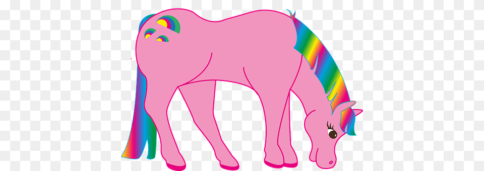 Rainbow Baby, Person, Art Free Png