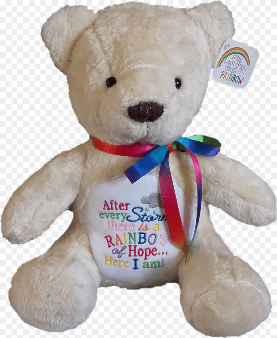 Rainbow Bear Bear, Teddy Bear, Toy Png Image