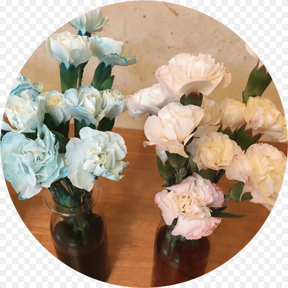 Rainbow Bouquet Bouquet, Flower, Flower Arrangement, Flower Bouquet, Plant Free Png