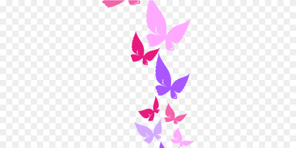 Rainbow Butterfly Clipart Border Rainbow Butterfly Plant, Petal, Flower, Baby Free Transparent Png
