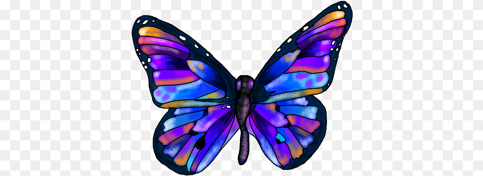 Rainbow Butterfly Clipart Picsart Butterfly Picsart, Animal, Person, Insect, Invertebrate Free Png Download