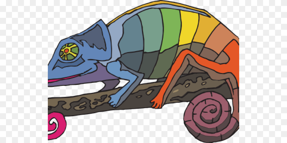 Rainbow Chameleon, Animal, Gecko, Lizard, Reptile Png