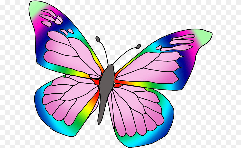 Rainbow Colored Butterfly Image Beautiful Butterfly Pictures Color, Purple, Animal, Insect, Invertebrate Free Png