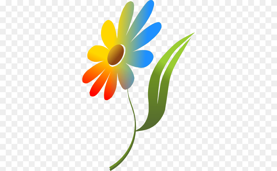 Rainbow Daisy Clip Art, Flower, Plant, Graphics, Floral Design Free Transparent Png