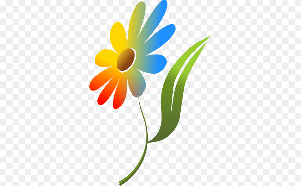 Rainbow Daisy Clip Arts Download, Flower, Plant, Art, Graphics Free Transparent Png