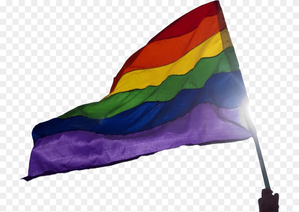 Rainbow Flag Transparent Background Homophobia Exists, Parade, Person Png Image