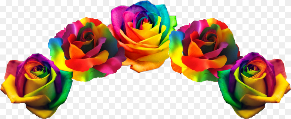 Rainbow Flower Crown, Plant, Rose, Petal, Flower Arrangement Free Png