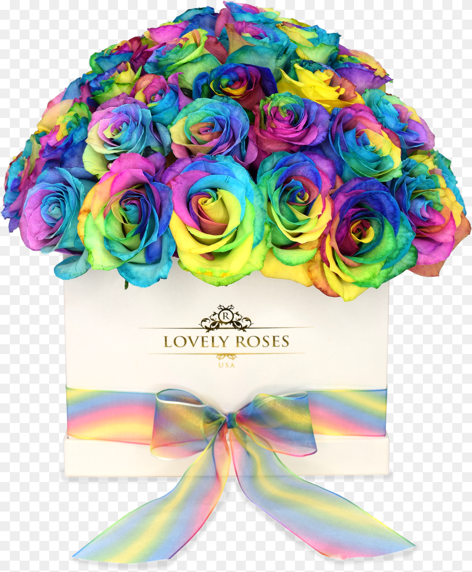 Rainbow Flower Crown Free Png
