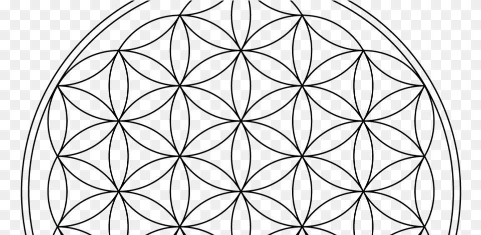 Rainbow Flower Of Life, Gray Free Png Download