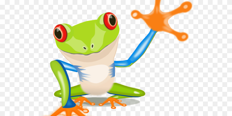 Rainbow Frames Illustrations Hd Cartoon Tree Frog, Amphibian, Animal, Wildlife, Tree Frog Free Transparent Png