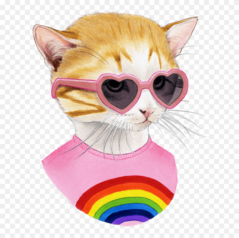 Rainbow Kitten, Accessories, Sunglasses, Animal, Cat Png