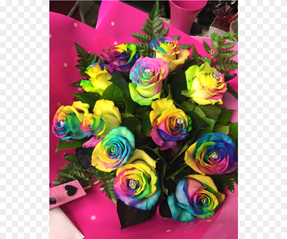 Rainbow Rose, Flower, Flower Arrangement, Flower Bouquet, Plant Free Png
