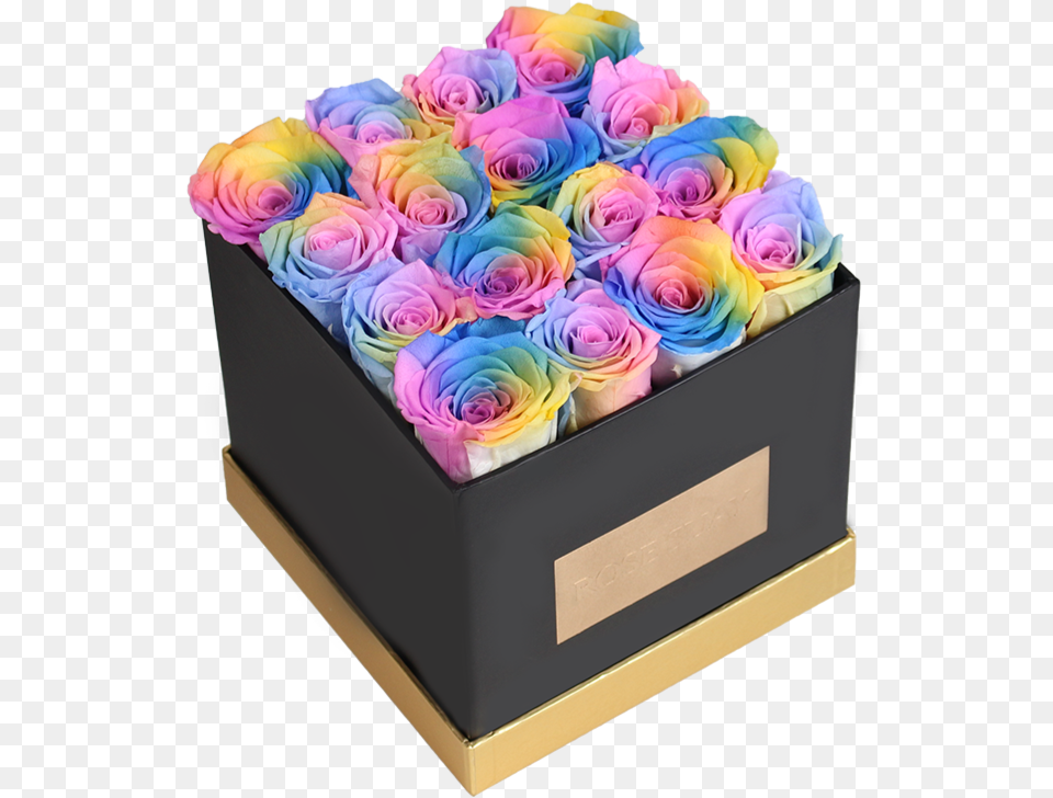 Rainbow Rose, Flower, Flower Arrangement, Flower Bouquet, Plant Free Transparent Png