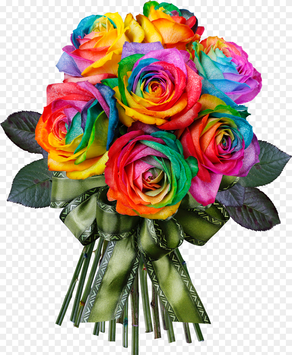Rainbow Rose Rainbow Rose No Background Free Png Download