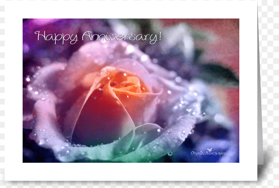 Rainbow Rose Greeting Card Greeting Card, Flower, Plant, Face, Head Free Transparent Png