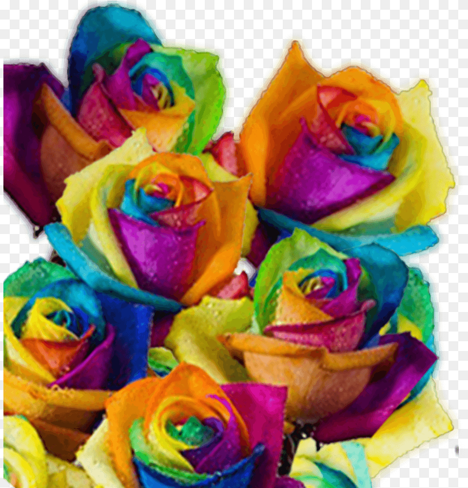 Rainbow Roses For Sale Free Delivery Rainbow Colored Multi Colored Roses, Flower, Flower Arrangement, Flower Bouquet, Plant Png Image