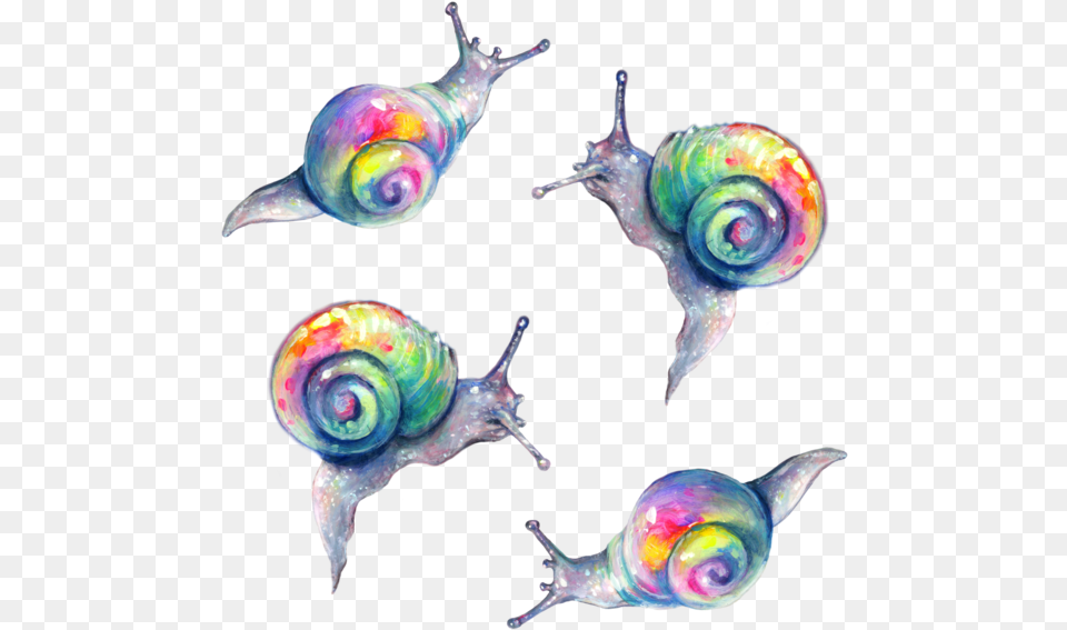 Rainbow Snail Tanya Shatseva Snail, Animal, Insect, Invertebrate, Sea Life Free Png