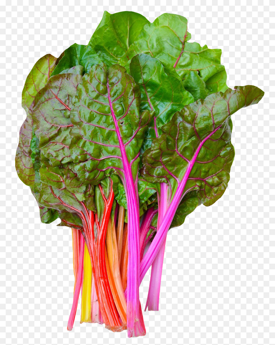 Rainbow Swiss Chard Image, Food, Plant, Produce, Leafy Green Vegetable Free Png Download