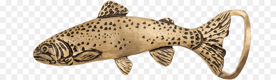 Rainbow Trout Buckle Brown Trout, Animal, Fish, Sea Life, Cod Free Png