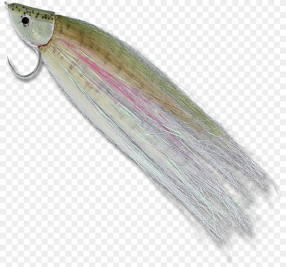 Rainbow Trout Earrings, Fishing Lure, Animal, Insect, Invertebrate Png Image