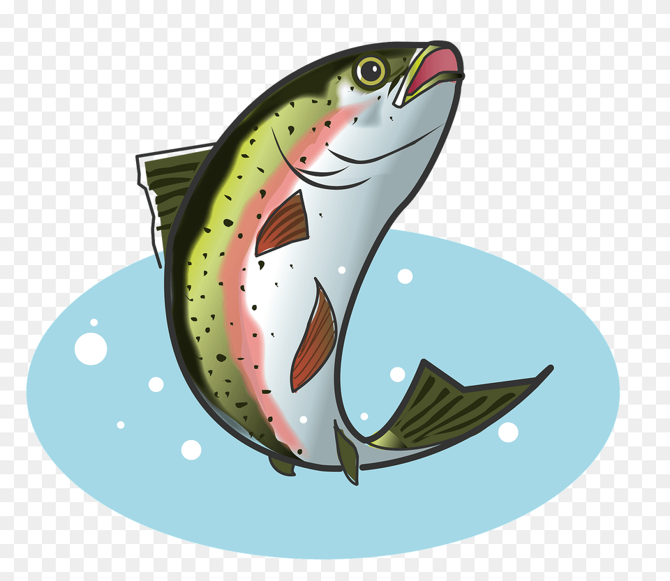 Rainbow Trout Fish Clipart, Animal, Sea Life, Tuna Free Transparent Png