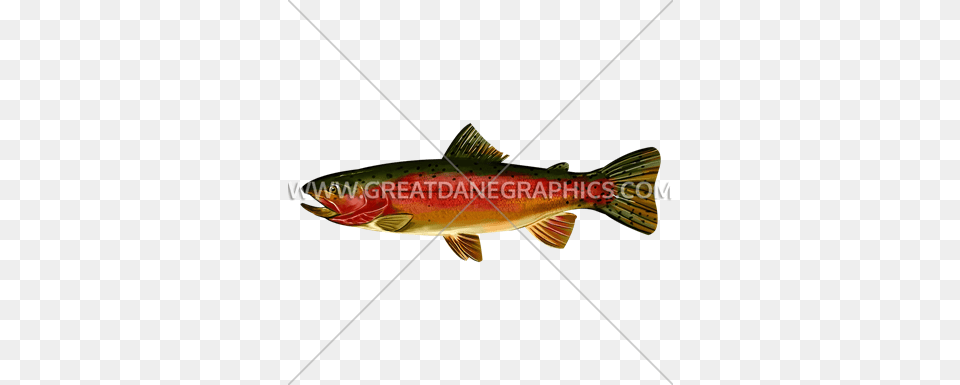 Rainbow Trout Side Production Ready Artwork For T Shirt Printing, Animal, Coho, Fish, Sea Life Png