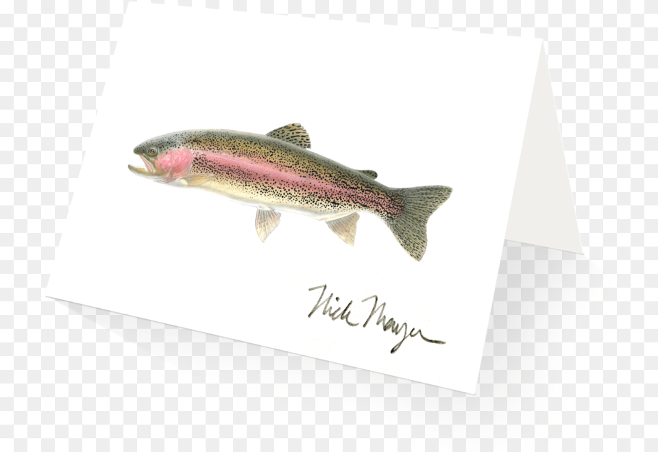 Rainbow Trout Trout, Animal, Fish, Sea Life Free Png Download