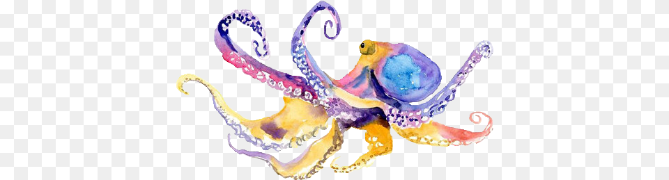 Rainbow Watercolor Octopus Colorful Transparent Octopus Greeting Card, Animal, Sea Life, Invertebrate, Smoke Pipe Png