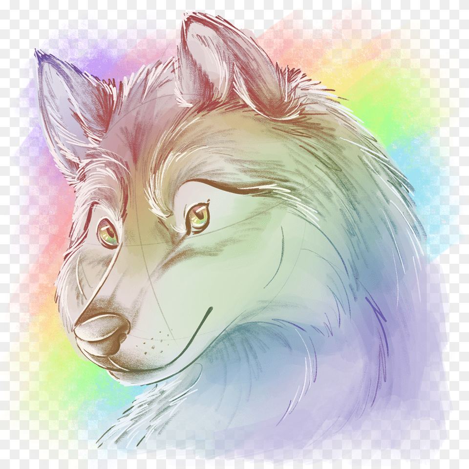 Rainbow Wolf, Art, Person, Animal, Mammal Png