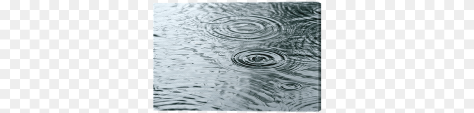 Raindrops Rippling In A Puddle Canvas Print Pixers Puddle, Nature, Outdoors, Ripple, Water Free Transparent Png