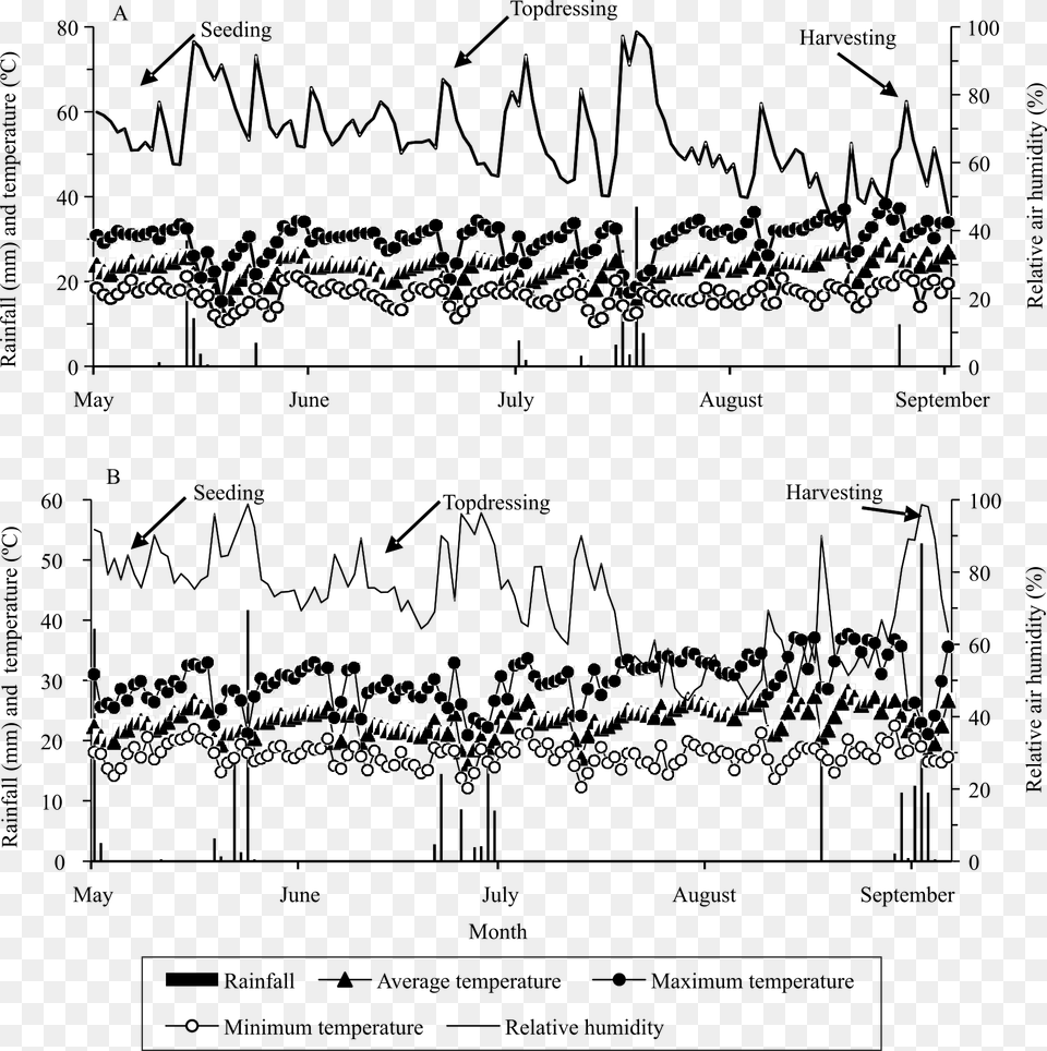 Rainfall Relative Air Humidity And Maximum Average, Lace Free Transparent Png