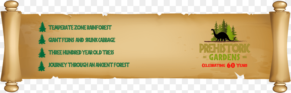 Rainforest, Text, Document, Scroll, Animal Free Png Download