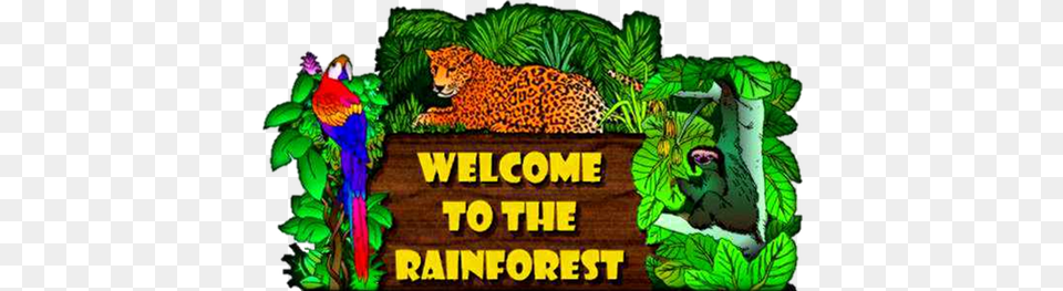 Rainforest Animal Explorers A First Grade Webquest Come Visit The Tropical Rainforest, Vegetation, Plant, Zoo, Outdoors Free Png