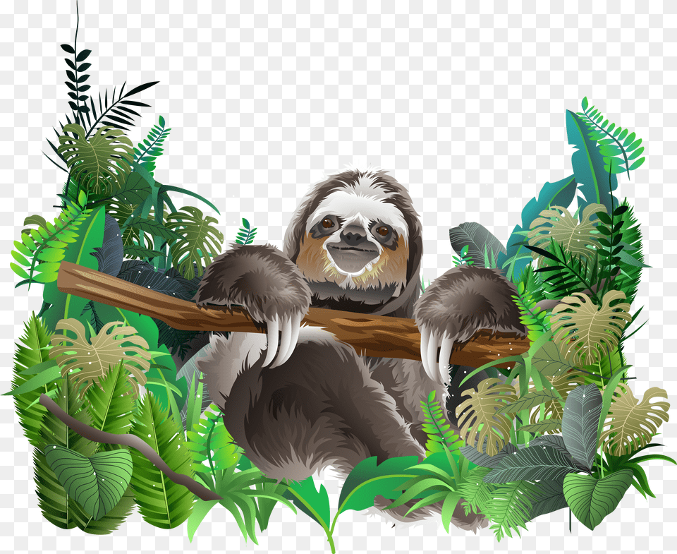 Rainforest Animals Picture Free Png