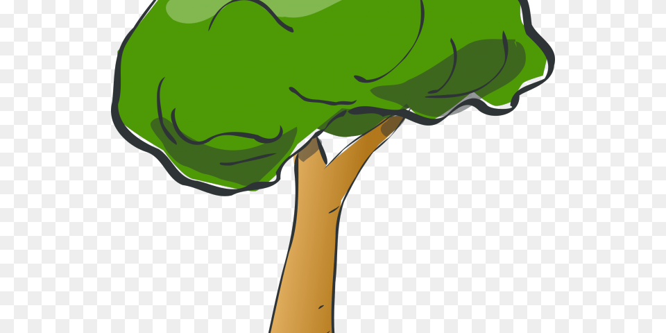 Rainforest Clipart, Green, Plant, Tree, Broccoli Png