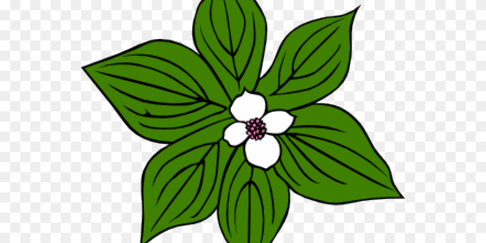 Rainforest Clipart Clip Art, Flower, Leaf, Plant, Anemone Png Image