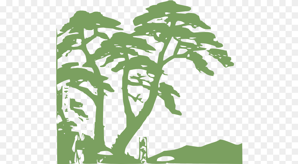 Rainforest Clipart Clipart Rainforest Tree, Green, Vegetation, Plant, Stencil Free Transparent Png