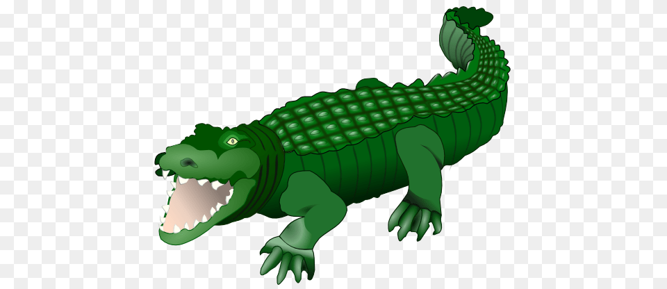 Rainforest Clipart Crocodile, Animal, Reptile Free Transparent Png