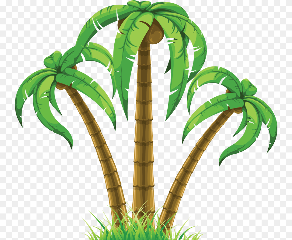 Rainforest Clipart Tropical Evergreen Forest Picture Tropical Tree Clipart, Plant, Vegetation, Person Free Transparent Png