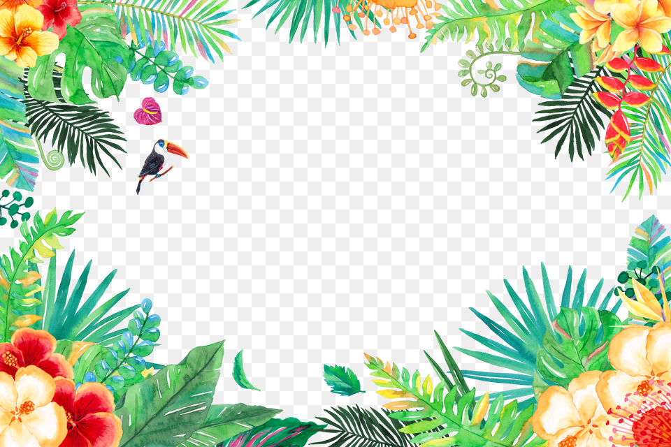 Rainforest Clipart Watercolor, Book, Comics, Publication, Person Png