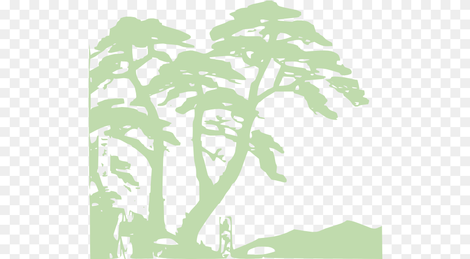 Rainforest Edit 5 Clip Art Trees Rainforest Black And White, Stencil, Silhouette, Tree, Plant Png