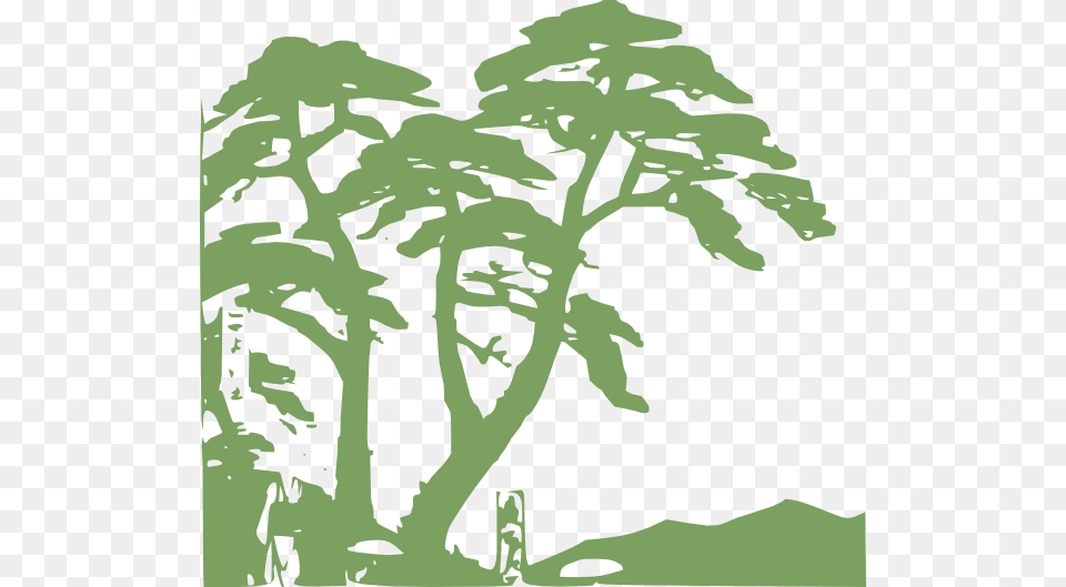 Rainforest Edit Clip Art At Clker Green Trees Silhouette Mugs, Vegetation, Tree, Plant, Outdoors Png Image